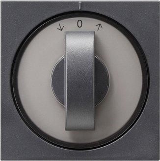 Gira Cover with toggle switch for time switch and blind switch or button anthracite — 066628