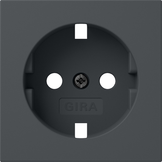 Gira sp.pt: cov. SCHUKO sock. System 55 anthracite — 492028