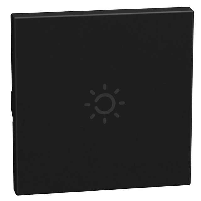 BTicino lightable key cover with lamp symbol, 2 modules dark, axial — YD4916AM2