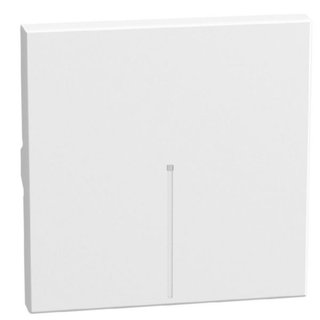 BTicino lightable key cover 2 modules white, axial — YW4916M2