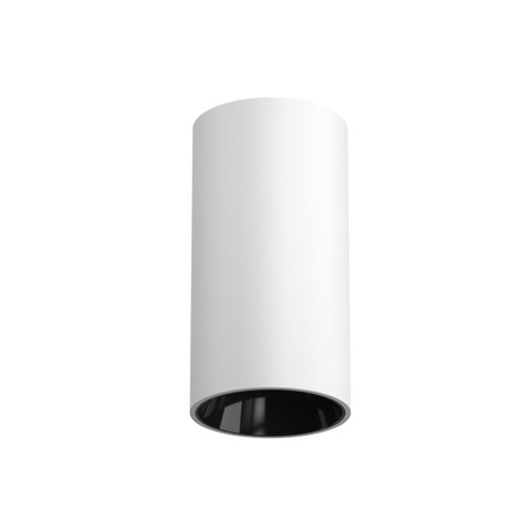 Flos Light Shadow Pro Ø45 Surface Flood — manufacturer representative image