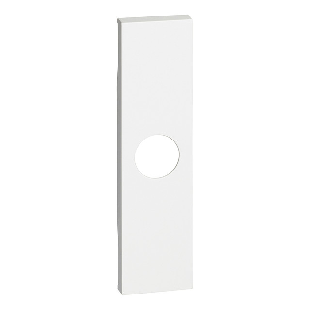 BTicino Covers for TV sockets and blanking module with output — KW08