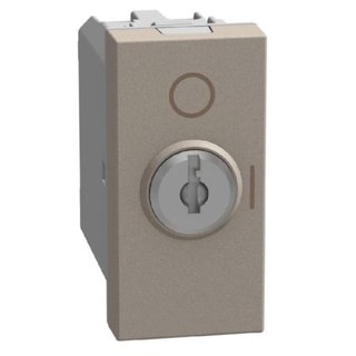 BTicino 1-way switch 2P 10 AX - 250 V with key - 1 module - stone — YG4012