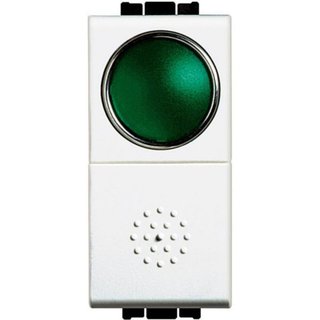 BTicino Pushbutton 1P - NO + lamp carrier green 10A — N4038V