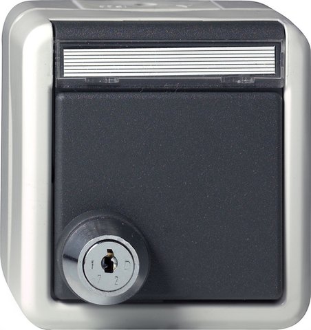 Gira SCHUKO socket outlet 16 A 250 V~ with hinged cover, inscription space and lock grey with different lock types — 456730