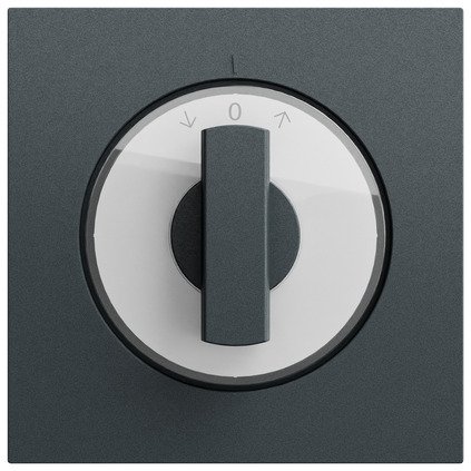Gira Cover with toggle switch for time switch and blind switch or button anthracite (lacquered) — 066673