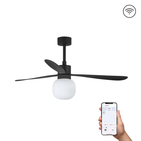 Faro Barcelona AMELIA BALL Ceiling fan black 2700K TUYA — manufacturer representative image