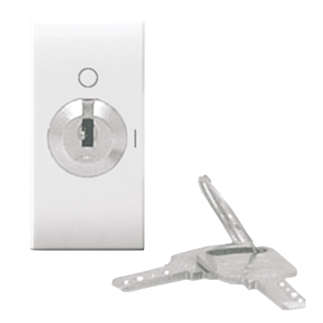 AVE 1P 10AX 2WAY SW.UNIFIE.KEY DOMUS 1M — 441072MC