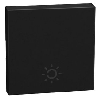 BTicino lightable key cover with lamp symbol, 2 modules dark, rocker — YD4915AM2