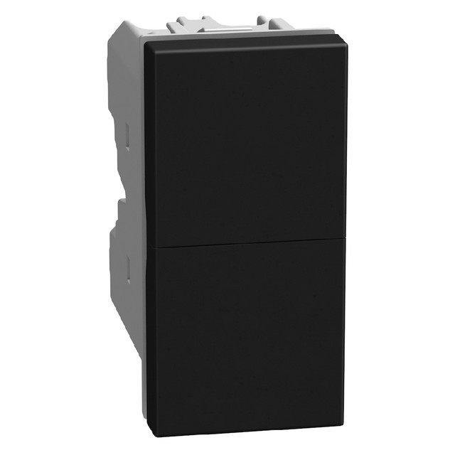 BTicino Double pushbutton 1P NO + 1P NO 10 A 250 V - not lightable - 1 module - dark — YD4036